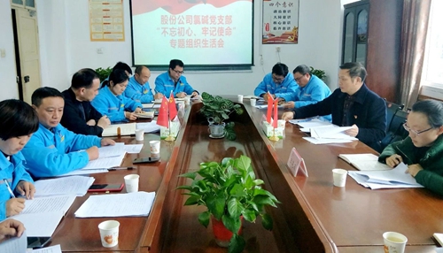 向宇飛列席指導(dǎo)股份公司氯堿黨支部“不忘初心、牢記使命”專題組織生活會(圖1)