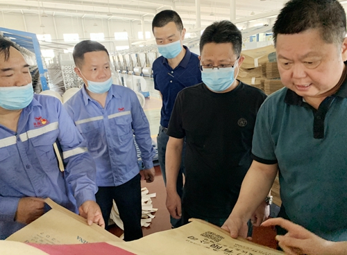 王大真一行到新疆宜化調(diào)研指導(圖1)