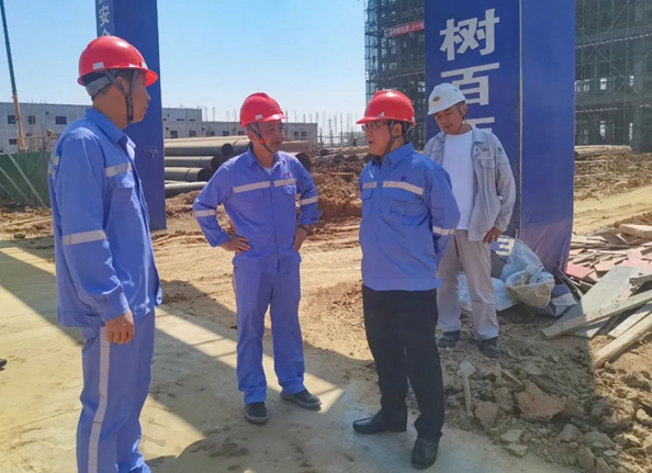 王大真到雙環(huán)公司和田家河氨醇項目現場調研(圖1)