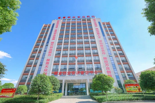 湖北省第一批“荊楚工匠學(xué)院”！宜化職業(yè)培訓(xùn)中心獲授牌(圖2)