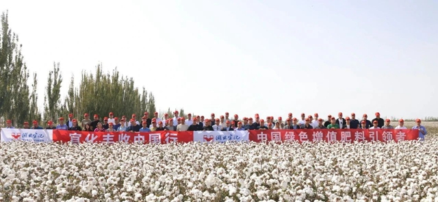 宜化豐收中國(guó)行！新疆棉花大型測(cè)產(chǎn)觀摩會(huì)成功舉行(圖1)